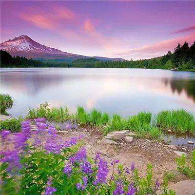 澳门·威斯尼斯wns888入口app下载