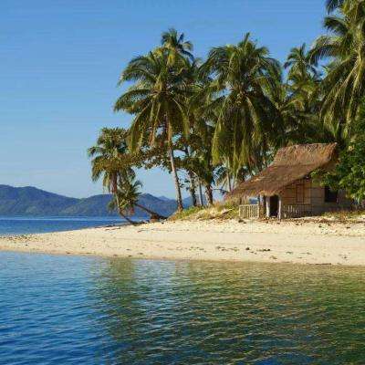 b体育官方APP下载安装